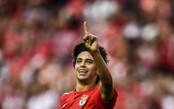 Fbl Por Liga Benfica Aves