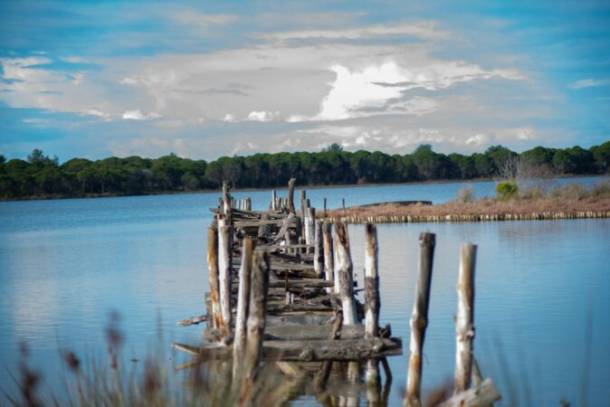 Laguna E Karavastase 1536x1025