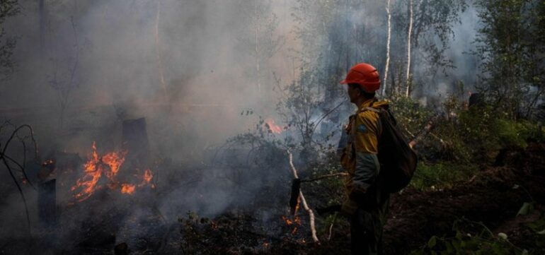 806x378 Russia Battles Forest Fires Amid Another Hot Summer 1721301565994