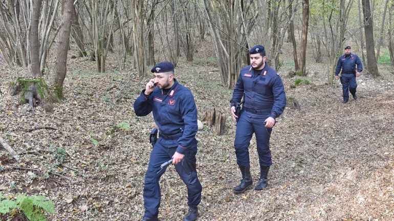 Controlli Dei Carabinieri Nei Boschi Cusa