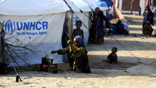 Unhcr Tenda Lapresse