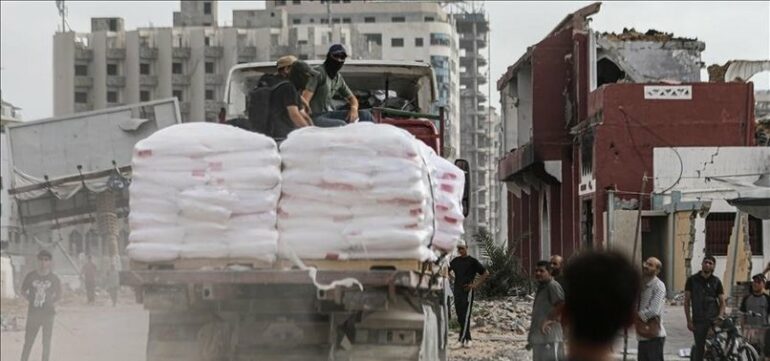 806x378 Belgium Sends Over 500 Tents To Gaza 1726084634931