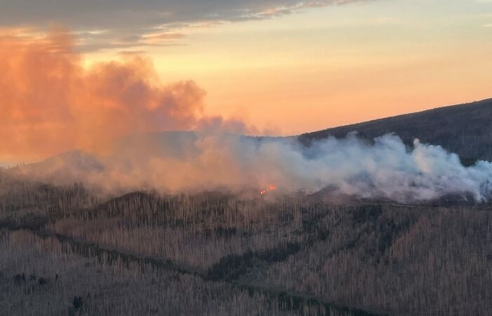 Forest Fire In German Harz Mountains Showing Signs Of Spreading 1662367119837