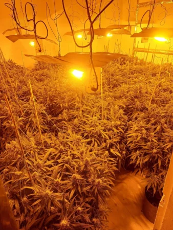 0 Cannabis Farm Found In Gateshead