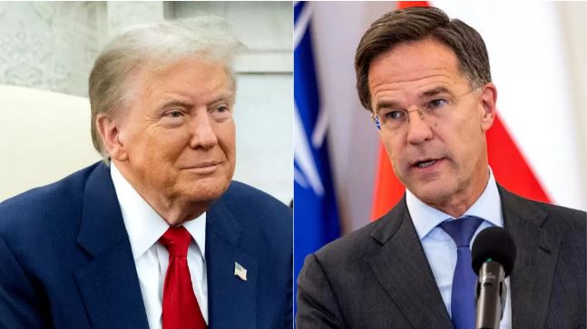 Trump Rutte