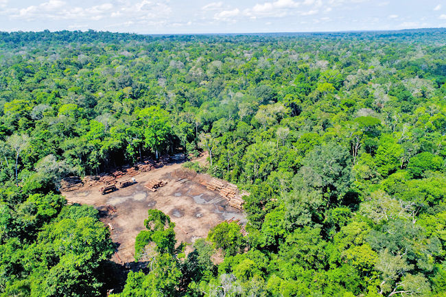 Aerial View Of A Log Storage Yard.