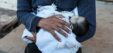 806x378 Displaced Gaza Newborn Freezes To Death As Rain Floods Tents 1735572414232