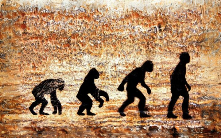 Evolution Of Modern Humans 1536x960