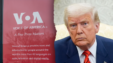 Voatrump 77jlhf