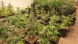 1200x680 Sc Sc Cannalargeur