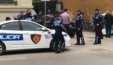 800 0 Policiasherr (1)