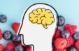 Brain Food 5 Nutrients That Upgrade Your Mind Header 1000x650