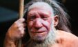 Early Humans May Have Outlived Neanderthals Thanks To One Surprising Tricksunscreen 1536x931
