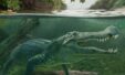 Terror Crocodile That Ate Dinosaurs And Dominated Earth Revealed In New Study 1536x931