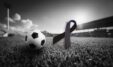 Zi Ne Futboll